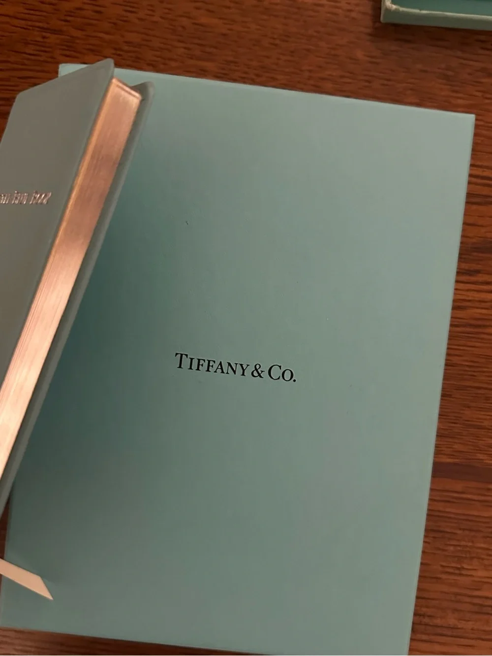 New Tiffany little blue Notebook